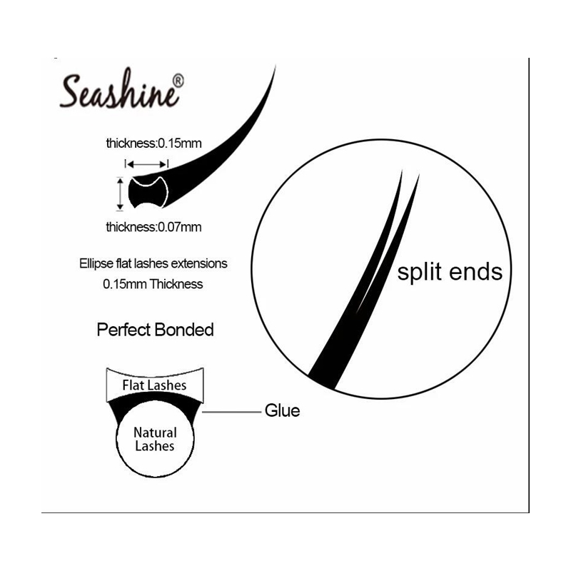 Seashine ellisse ciglia piatte - Individual Lash Tray recensione e prezzo